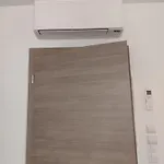 Lejlighed Joli En Rdc Dans Maison Neuve
