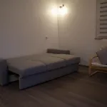 Joli En Rdc Dans Maison Neuve Lejlighed Mundolsheim