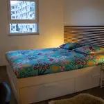 Joli En Rdc Dans Maison Neuve Lejlighed Mundolsheim