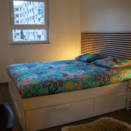 Joli En Rdc Dans Maison Neuve Apartman Mundolsheim