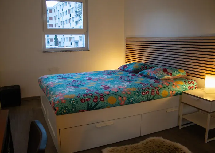 Joli En Rdc Dans Maison Neuve Lejlighed Mundolsheim